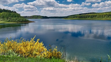 Um lago tranquilo rodeado por vegetação exuberante e uma colina arborizada.