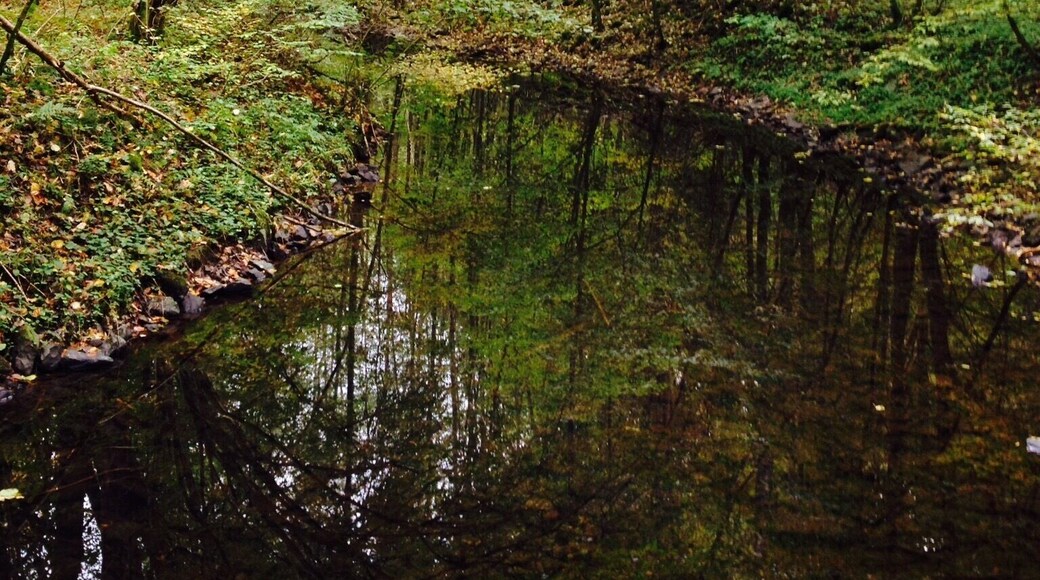 Naturpark Bergisches Land