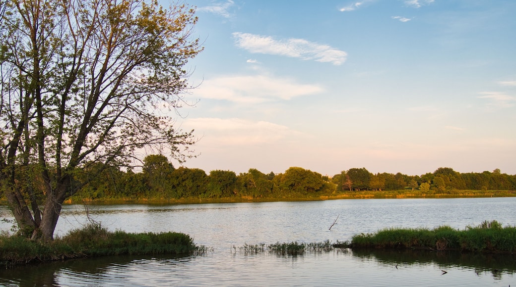 Scenic Pond at Veterans Park in Spring Hill KS