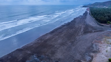 Un paisaje costero con una playa arenosa, olas del océano y una ladera cubierta de bosque.