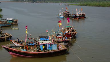 Fishing boats at Harnai port, near Dapoli, Ratnagiri, Maharashtra, India