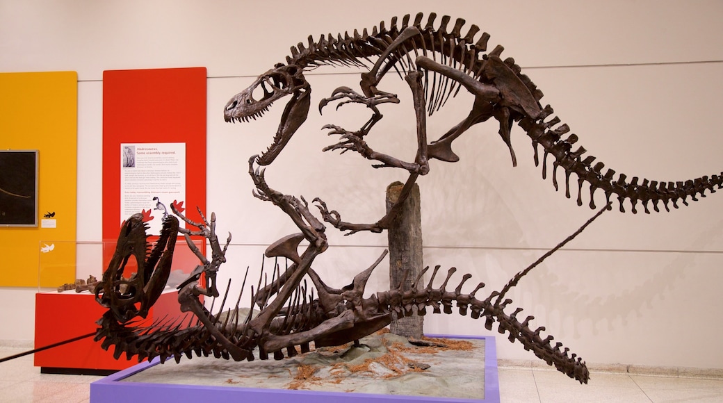 New Jersey State Museum featuring interior views