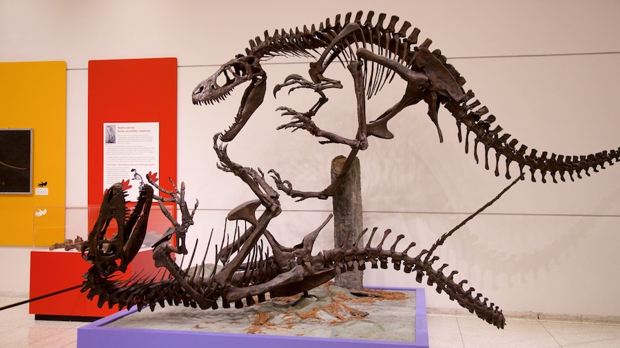 New Jersey State Museum featuring interior views