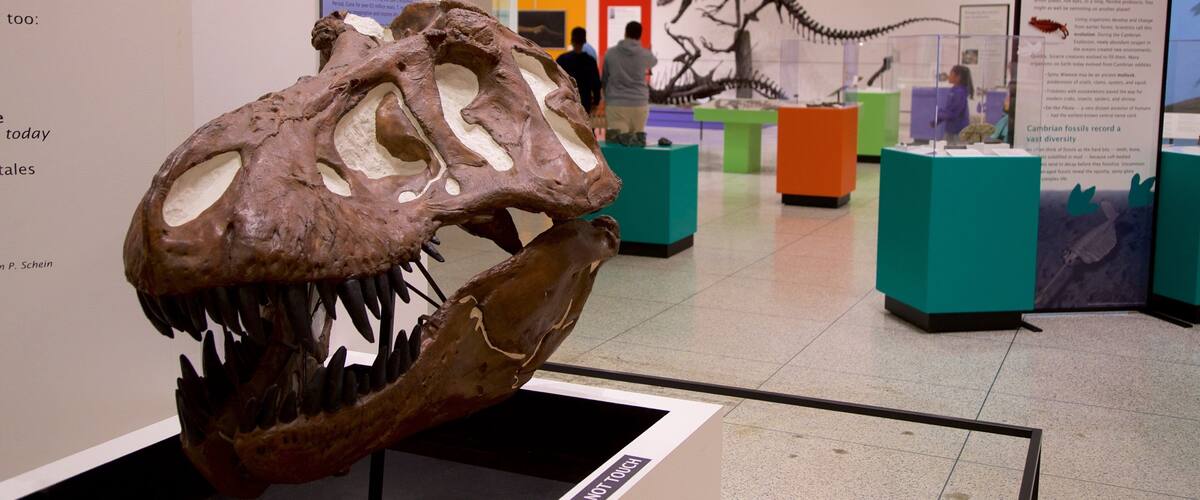 New Jersey State Museum featuring interior views