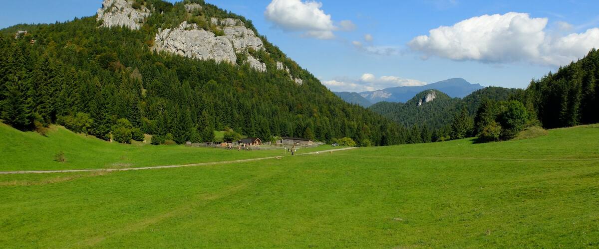 A mountainous landscape with a grassy field, a rocky outcrop, and a clear blue sky.