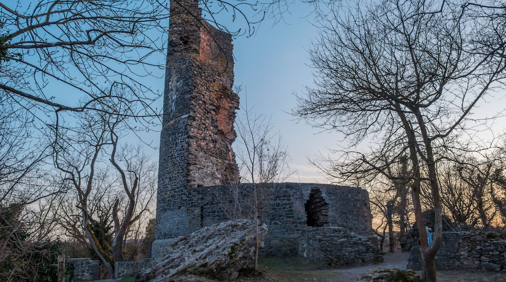 A tall, weathered stone tower surrounded by trees and a stone wall.