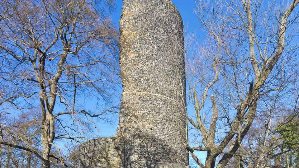 A stone tower surrounded by leafless trees.
