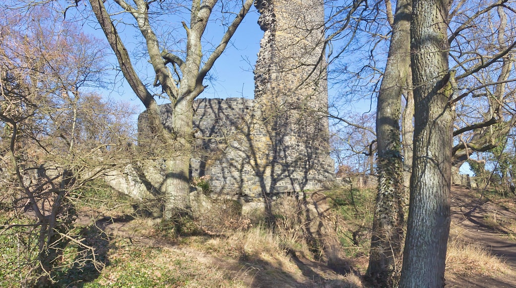 Tomburg bei Rheinbach-Wormersdorf im Winter