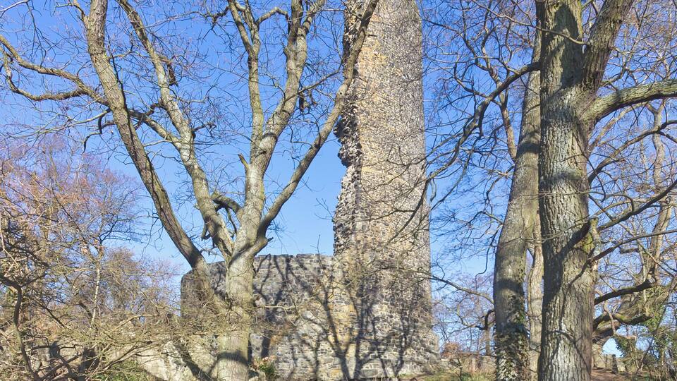 A stone tower surrounded by leafless trees in a forested area.