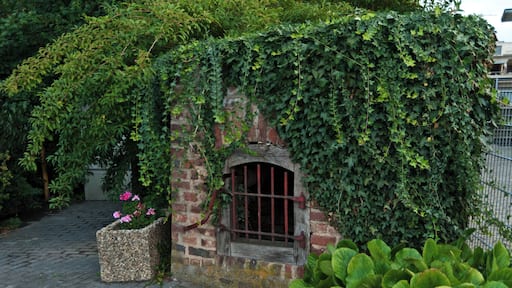 This is a photograph of an architectural monument., no. 147