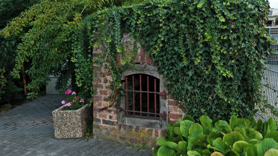 A brick structure with a wooden door, overgrown with ivy, and a stone planter with pink flowers.