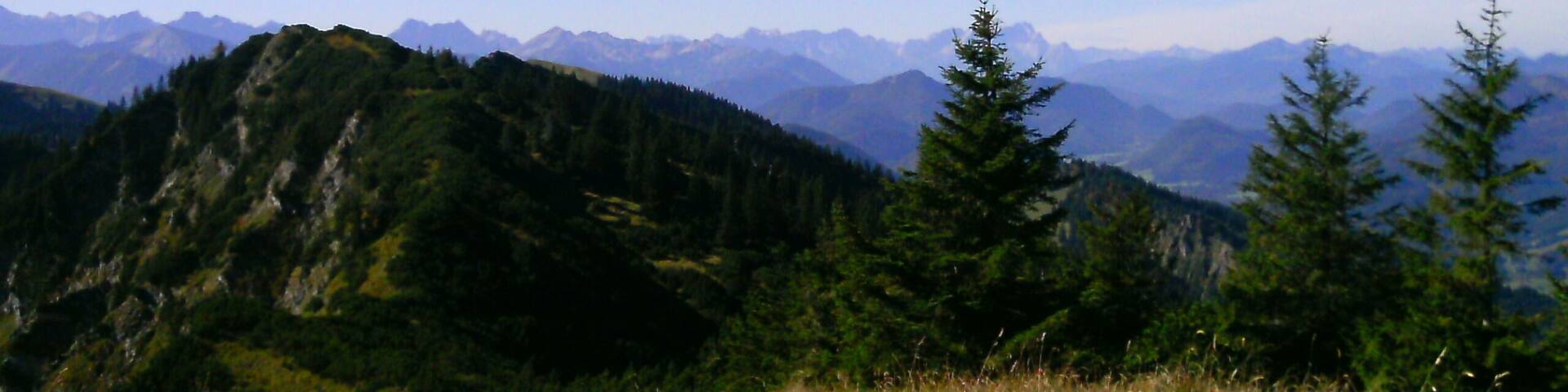 Ochsenkamp: Blick zum Auerkamp