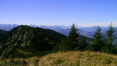 Ochsenkamp: Blick zum Auerkamp