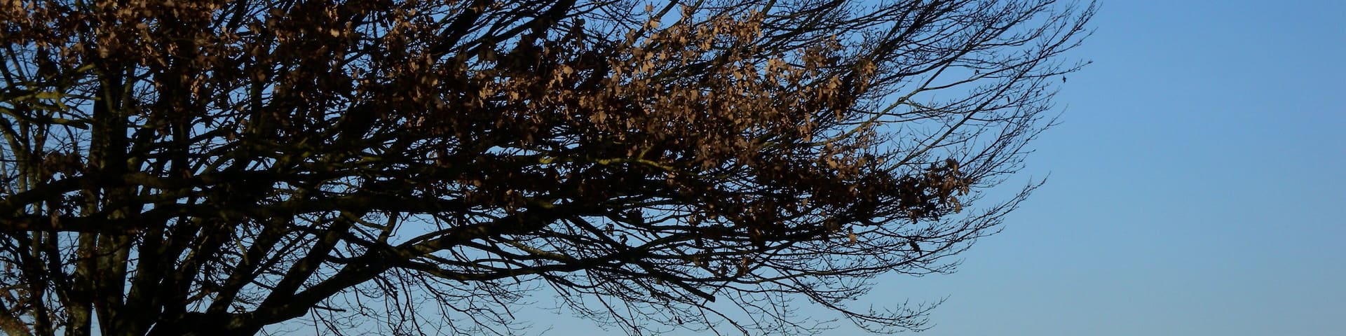 Das Radom an der Erdfunkstelle Raisting.