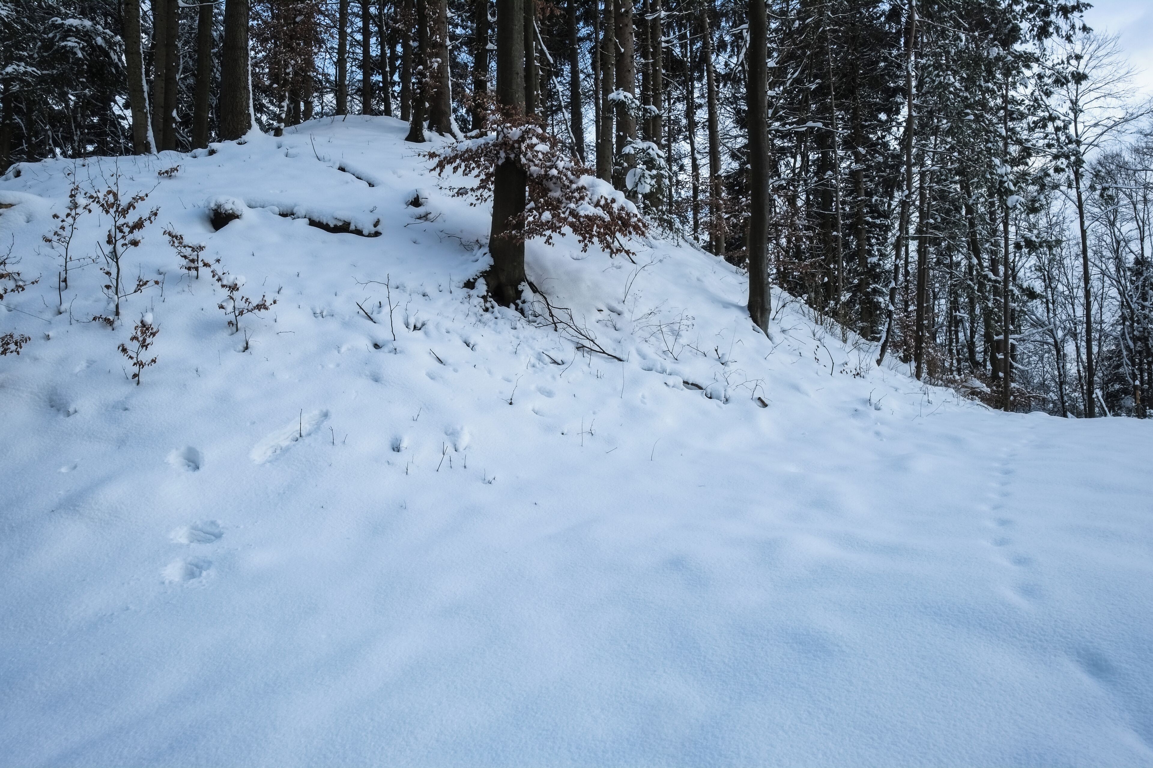 Place of vanished medival castle, Deggenhausertal-Burg, county Bodenseekreis, Germany