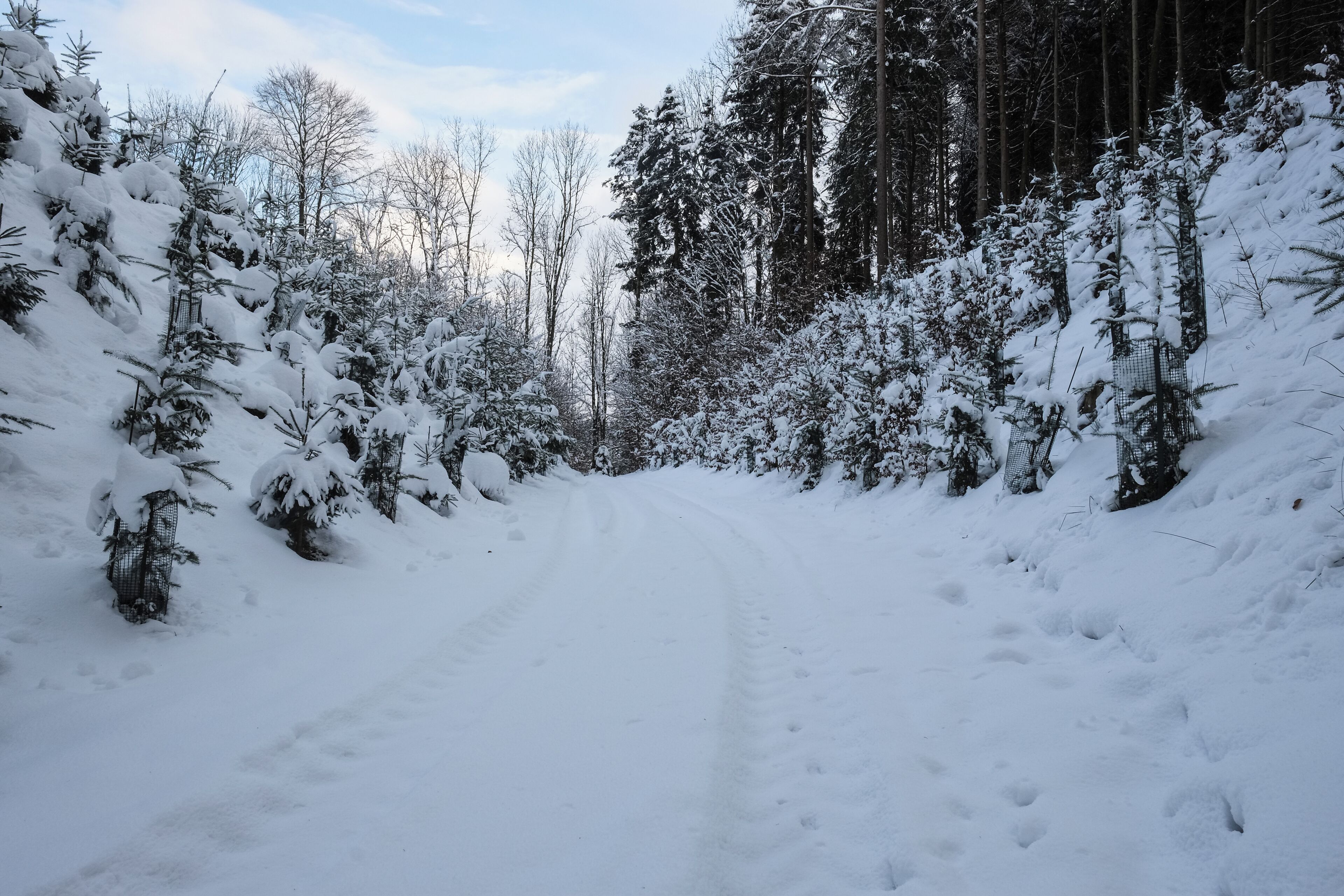 Place of vanished medival castle, Deggenhausertal-Burg, county Bodenseekreis, Germany