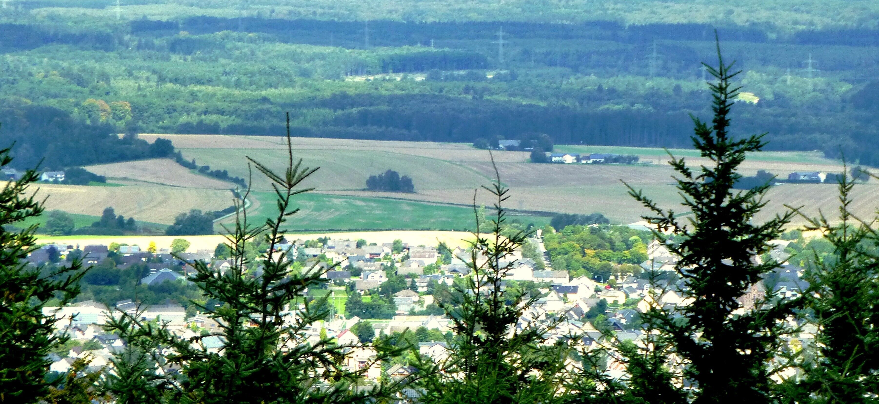 Soonwald - Blick vom Aussichtsturm Hochsteinchen in Richtung Rheinböllen