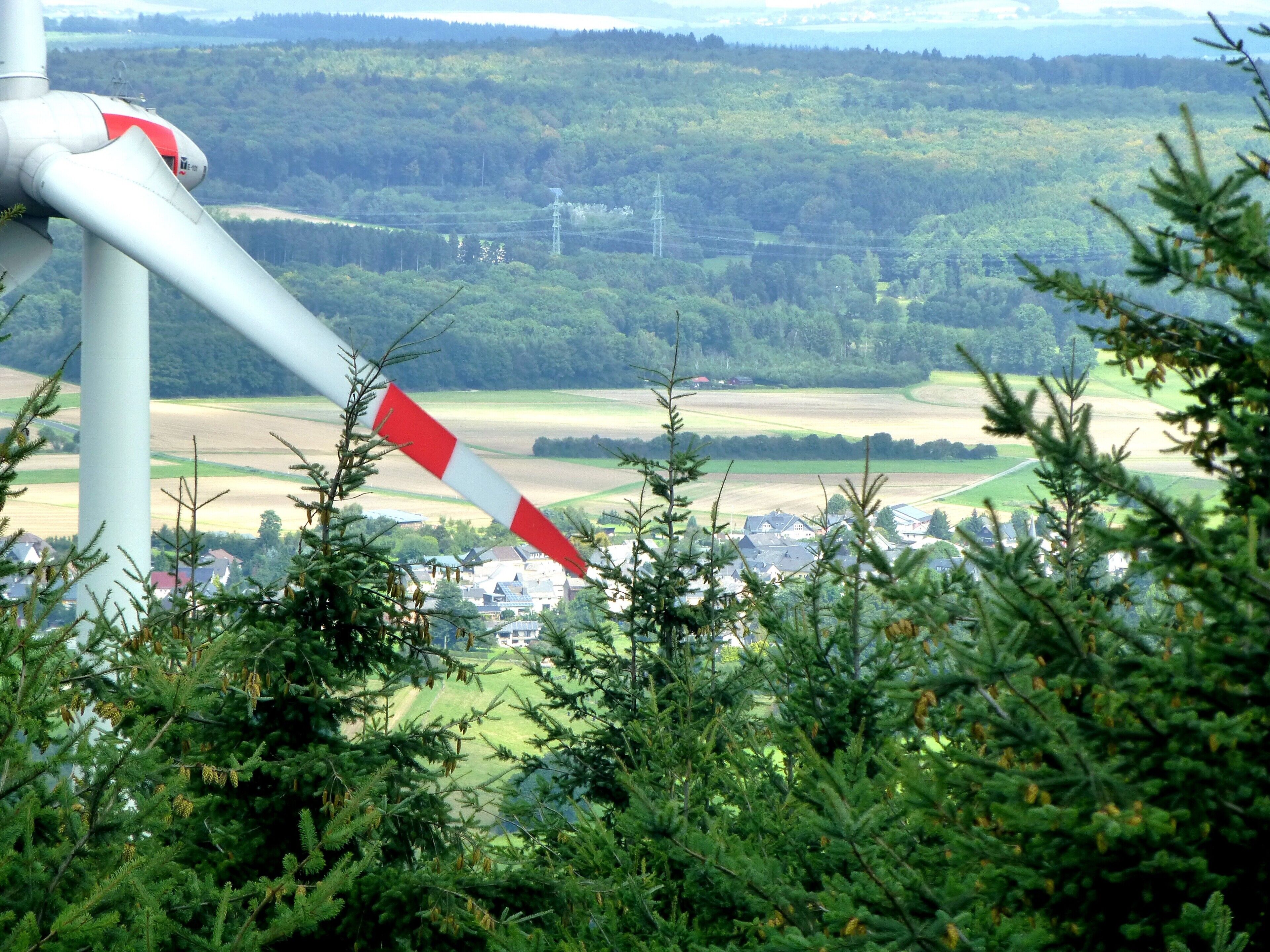 Soonwald - Blick vom Aussichtsturm Hochsteinchen in Richtung Dichtelbach