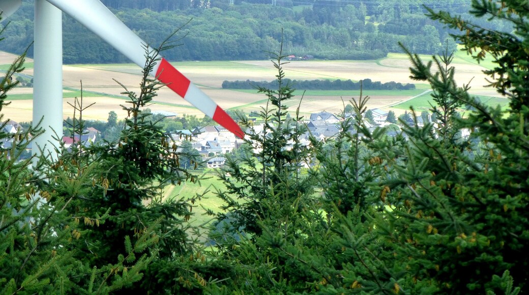 Soonwald - Blick vom Aussichtsturm Hochsteinchen in Richtung Dichtelbach