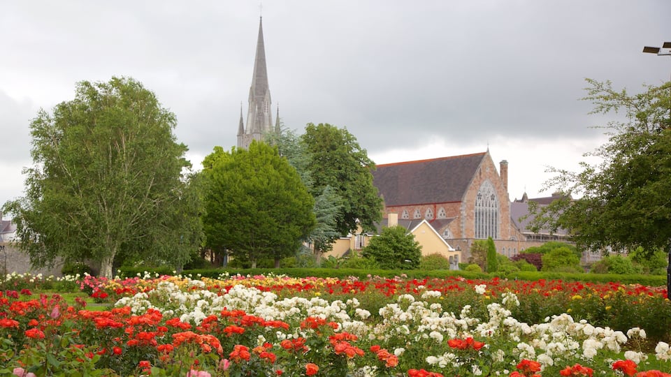A church with a tall spire, surrounded by a garden of red and white flowers, and trees.