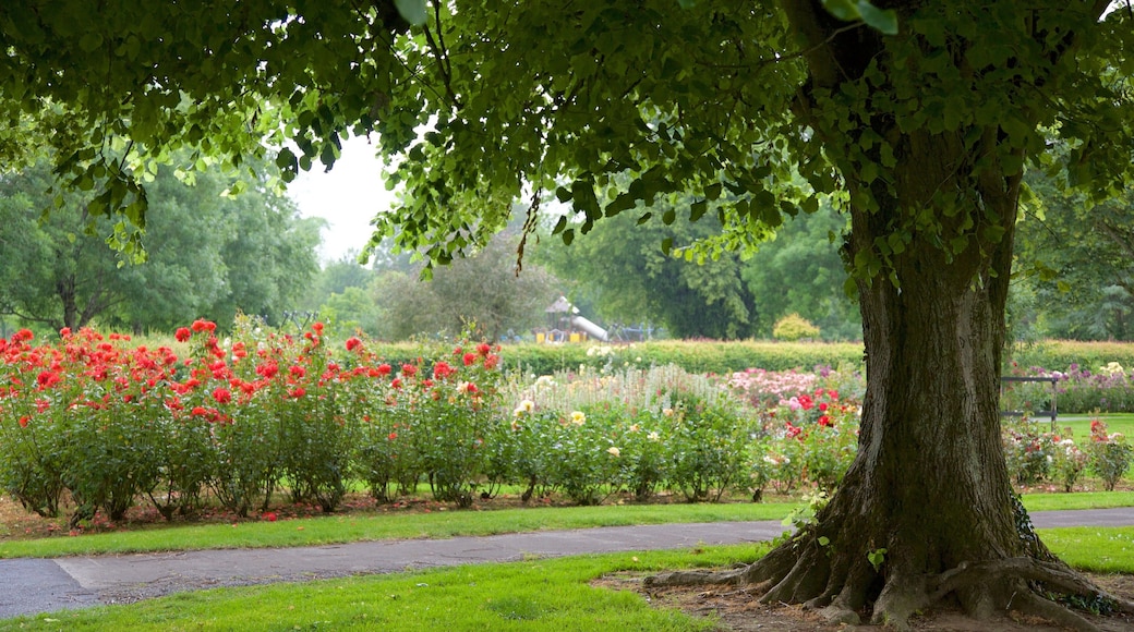 Tralee Town Park which includes flowers and a garden