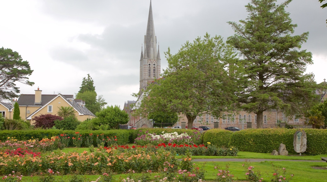Tralee Town Park johon kuuluu puisto, kirkko tai katedraali ja vanha arkkitehtuuri
