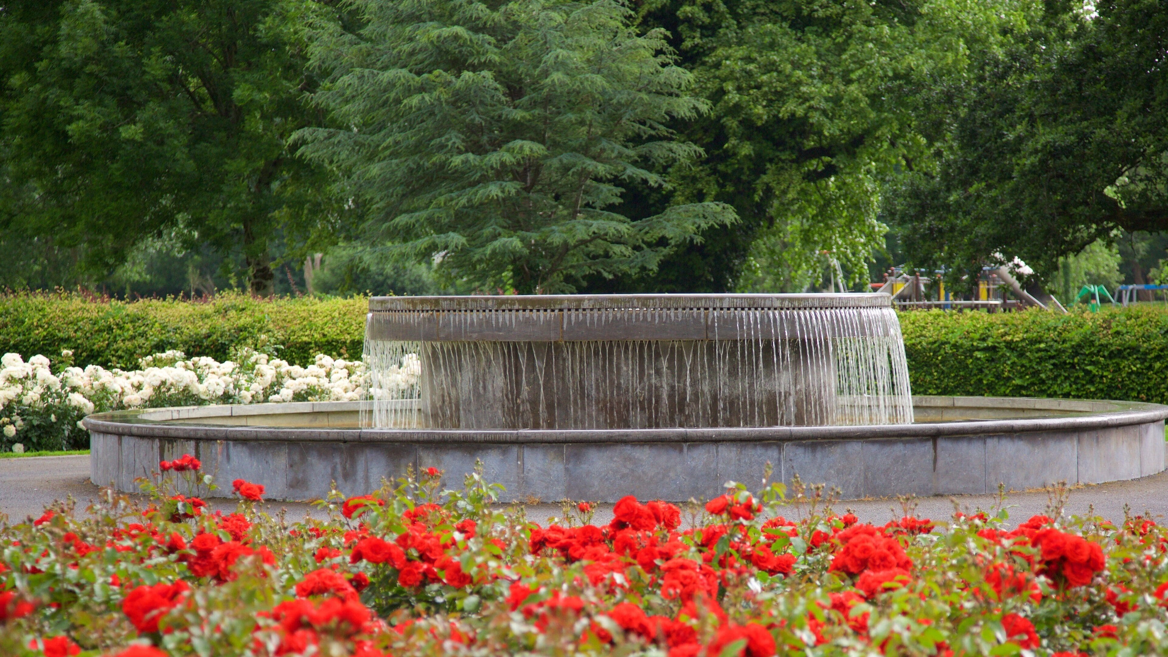 Tralee Town Park featuring flowers, a fountain and a garden