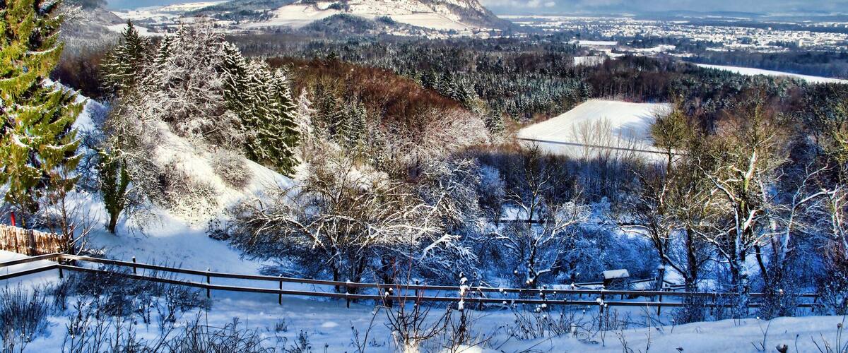 A snowy landscape with a mountain, forest, and a wooden fence.