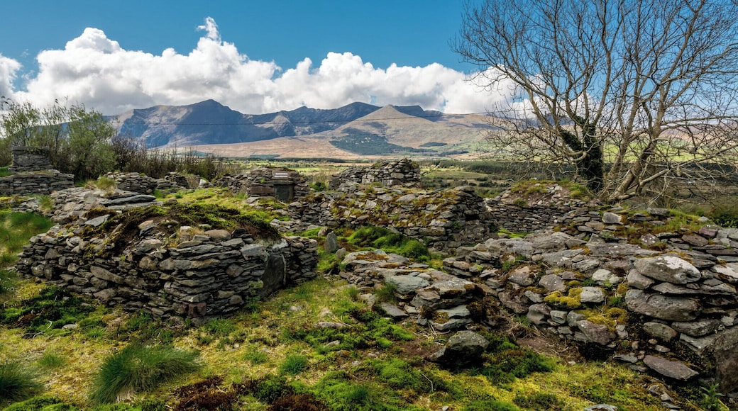Ballyduff Graveyard, Dingle Peninsula, at foot of Connor Pass. Silent, beautiful, mostly unmarked graves with Mt Brandon keeping guard.