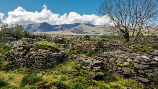 Ballyduff Graveyard, Dingle Peninsula, at foot of Connor Pass. Silent, beautiful, mostly unmarked graves with Mt Brandon keeping guard.