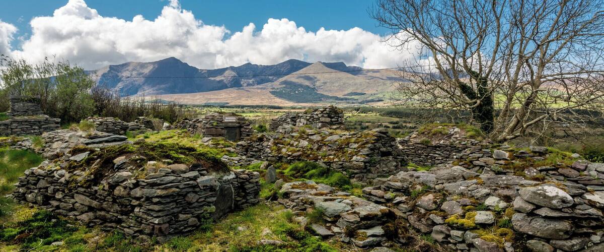 A stone wall and a leafless tree in a grassy field with mountains in the background.