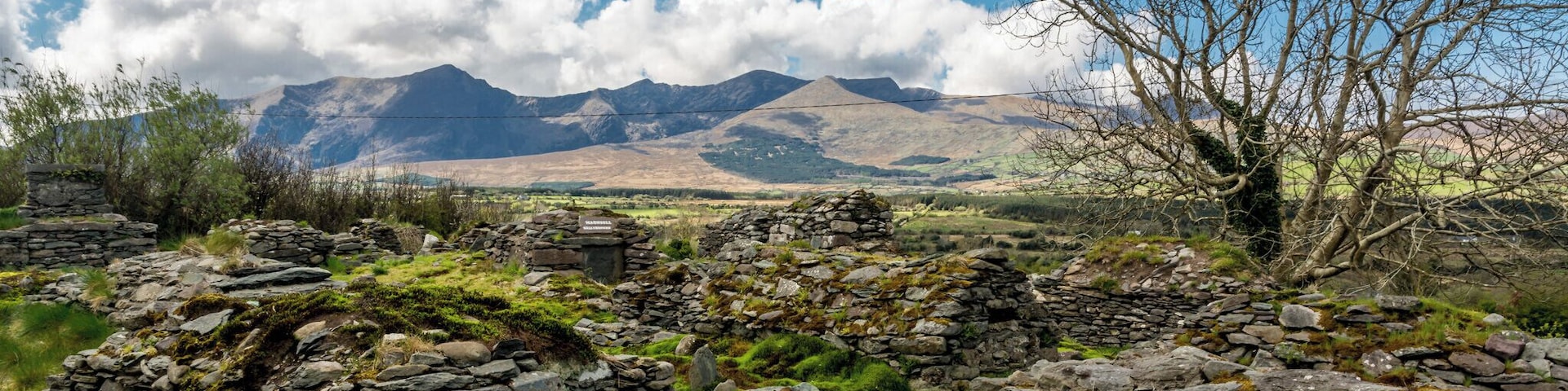 A stone wall and a leafless tree in a grassy field with mountains in the background.