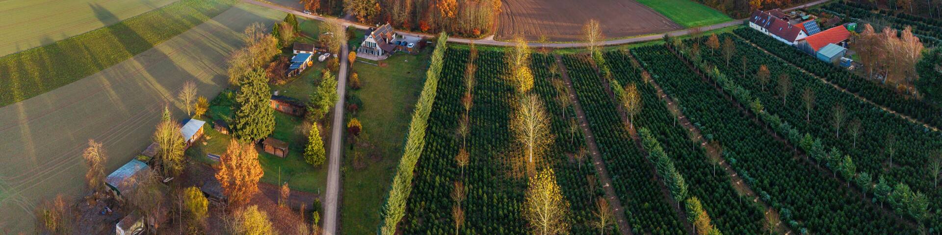 Bavarian morning sunrise landscape from top with autumn fog across the green grass and hop fields