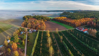 Bavarian morning sunrise landscape from top with autumn fog across the green grass and hop fields