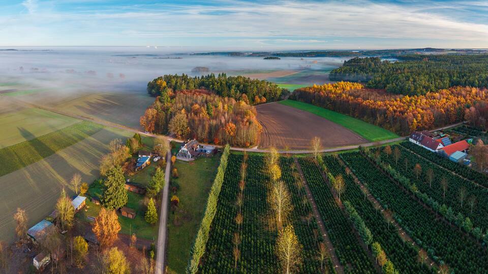 An aerial view of a rural landscape with fields, a forest, and a small cluster of houses.
