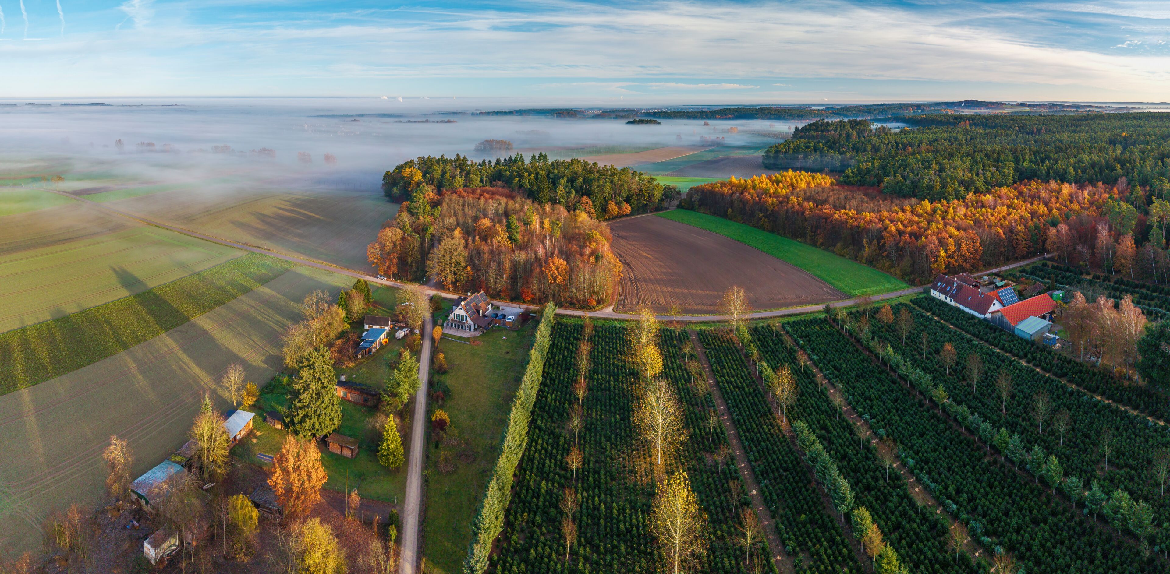 An aerial view of a rural landscape with fields, a forest, and a small cluster of houses.