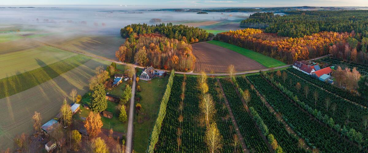 An aerial view of a rural landscape with fields, a forest, and a small cluster of houses.