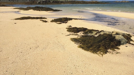 Mannin Bay in west Connemara has a large number of small beautifully isolated beaches. The sand is comprised not of quartz, as is usual, but of coral fragments. This gives the sand its special white colour. There are many beaches here, and few tourists. On a sunny day you can find a beach that you can claim as your own. #beach