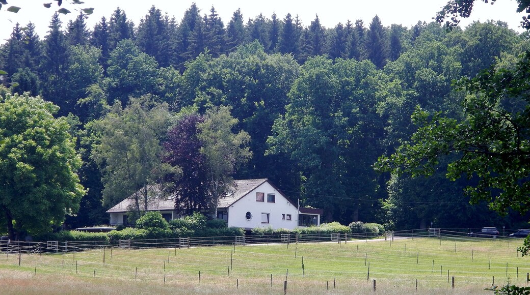 Waldhotel Sulzbachtal