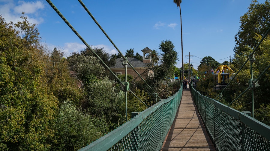Swinging bridge in Arroyo Grande, California