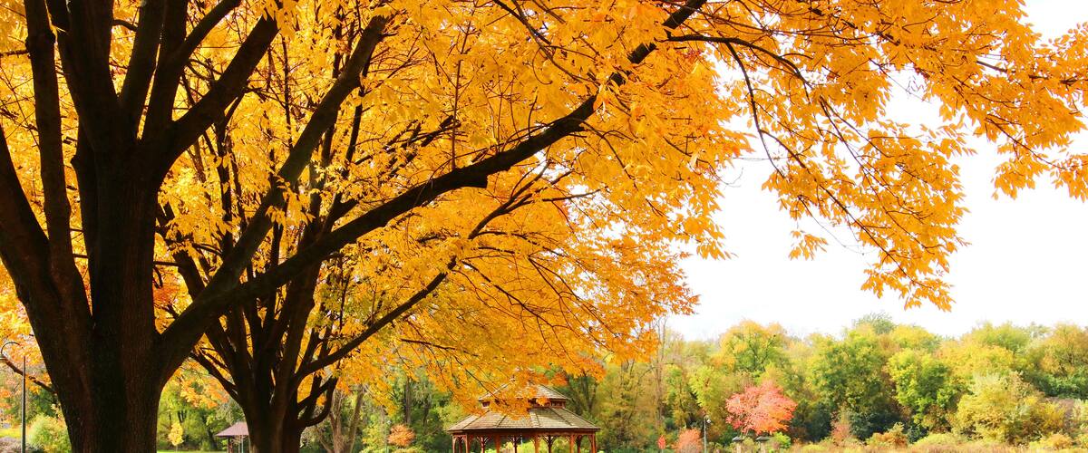 Midwest nature background with park view. Beautiful autumn landscape with colorful trees around the pond and wooden gazebo in a city park. Lakeview park, Middleton, Madison area, WI, USA.