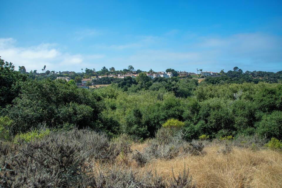 Un paisaje montañoso con vegetación verde exuberante y casas dispersas.
