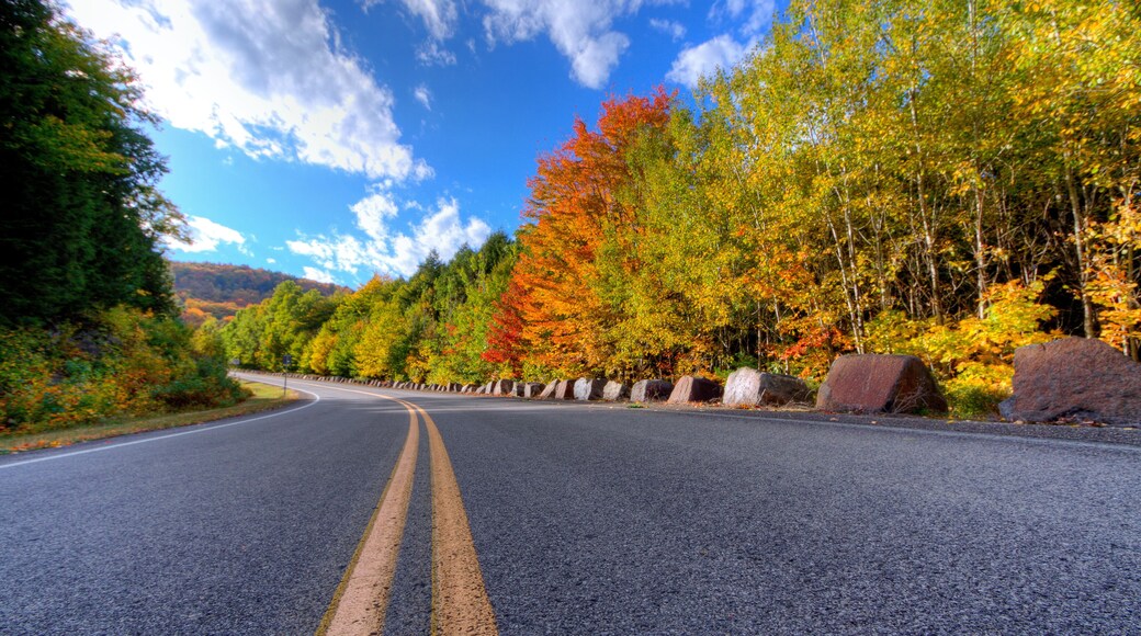 Autumn daytime view of a mountain road in Lake George, NY on Prospect Mountain, Adirondack State Park, with trees changing color.
