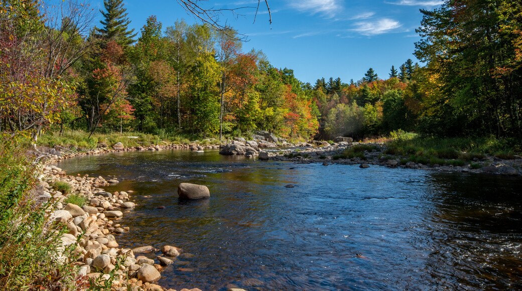 Fall foliage in the Adirondack Mountains