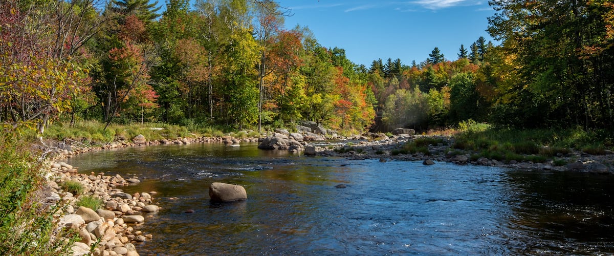 A clear river with rocks and autumn-colored trees.