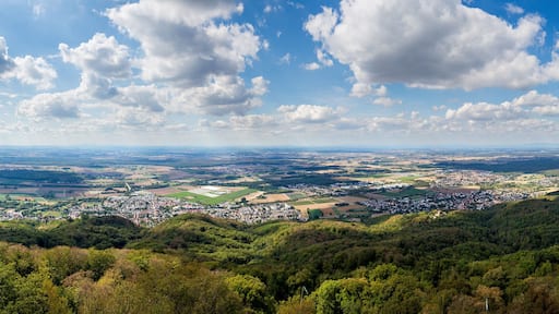 Panoramic view of south Hessia, Germany, seen from Melibokus, the highest mountain of the forest of odes.