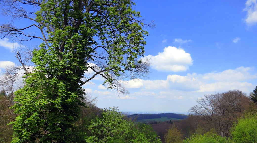 View from the Felsberg (Odenwald)