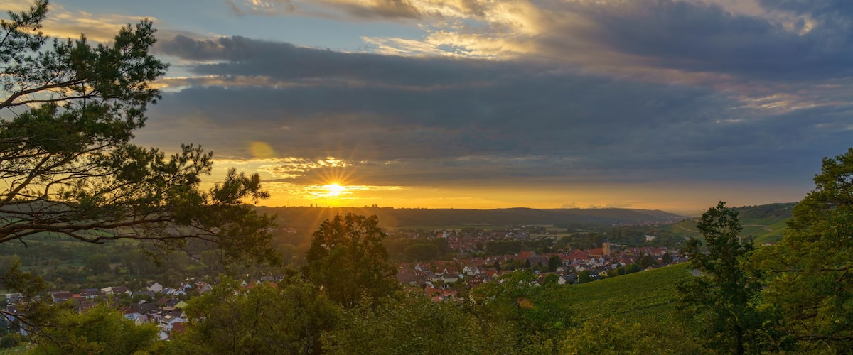 Weinberge bei Sommerhausen am Main im Abendlicht, Landkreis Würzburg, Franken, Unterfranken, Bayern, Deutschland