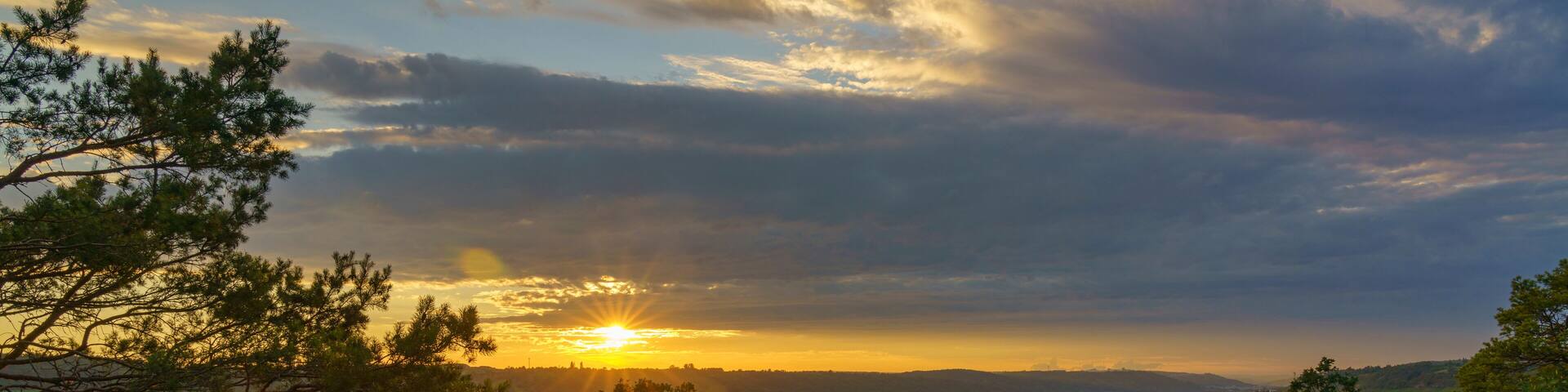 Weinberge bei Sommerhausen am Main im Abendlicht, Landkreis Würzburg, Franken, Unterfranken, Bayern, Deutschland