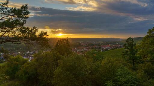 Weinberge bei Sommerhausen am Main im Abendlicht, Landkreis Würzburg, Franken, Unterfranken, Bayern, Deutschland